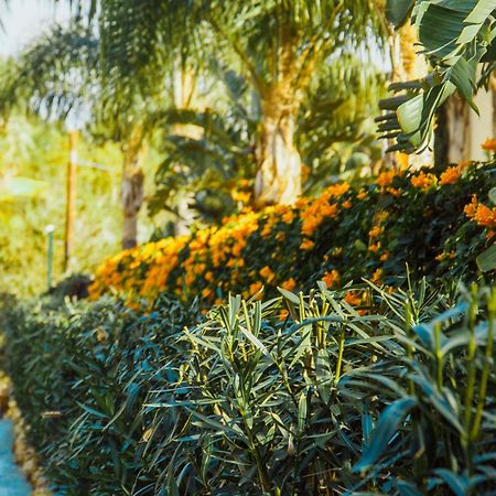 Sierra Blanca Resort Art Of Healing Marbella Exterior photo